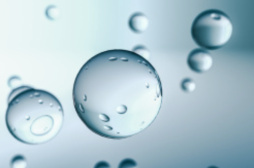 “宠物经济”持续升温 头部公司自主品牌业绩迎突破